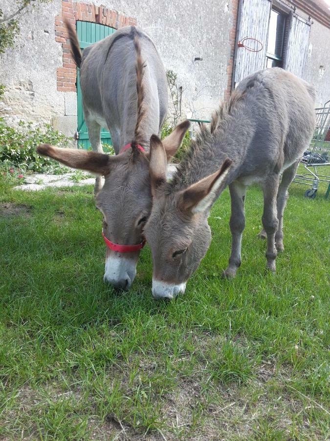 Le Gite Des Potes Lorris Екстериор снимка